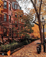 Charger l&#39;image dans la galerie, Ecrin de laine de l’automne : un automne à New York