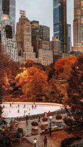 Ecrin de laine de l’automne : un automne à New York