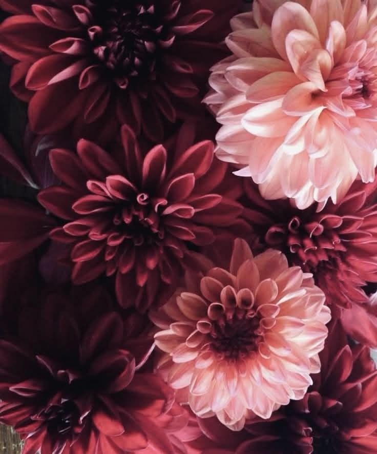 Ecrin de laine de Noël : un noël à Poudlard (petite box)