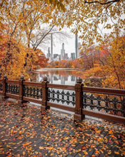 Charger l&#39;image dans la galerie, Ecrin de laine de l’automne : un automne à New York