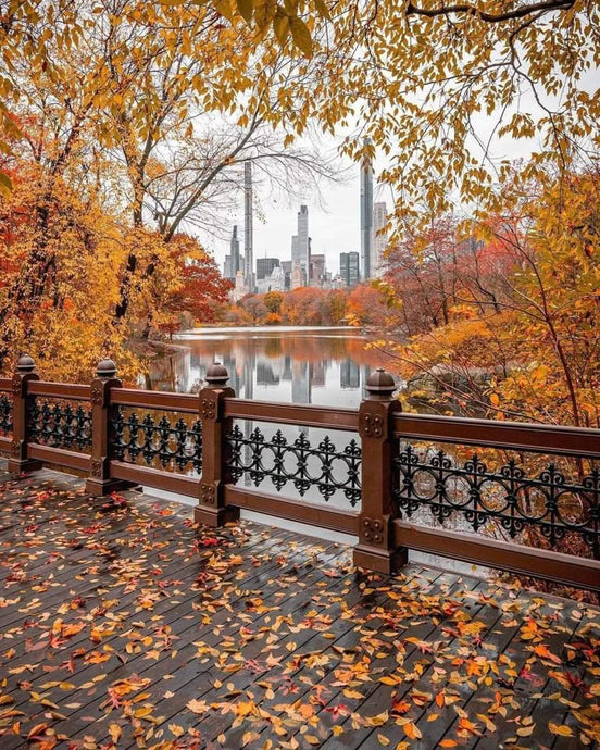 Ecrin de laine de l’automne : un automne à New York