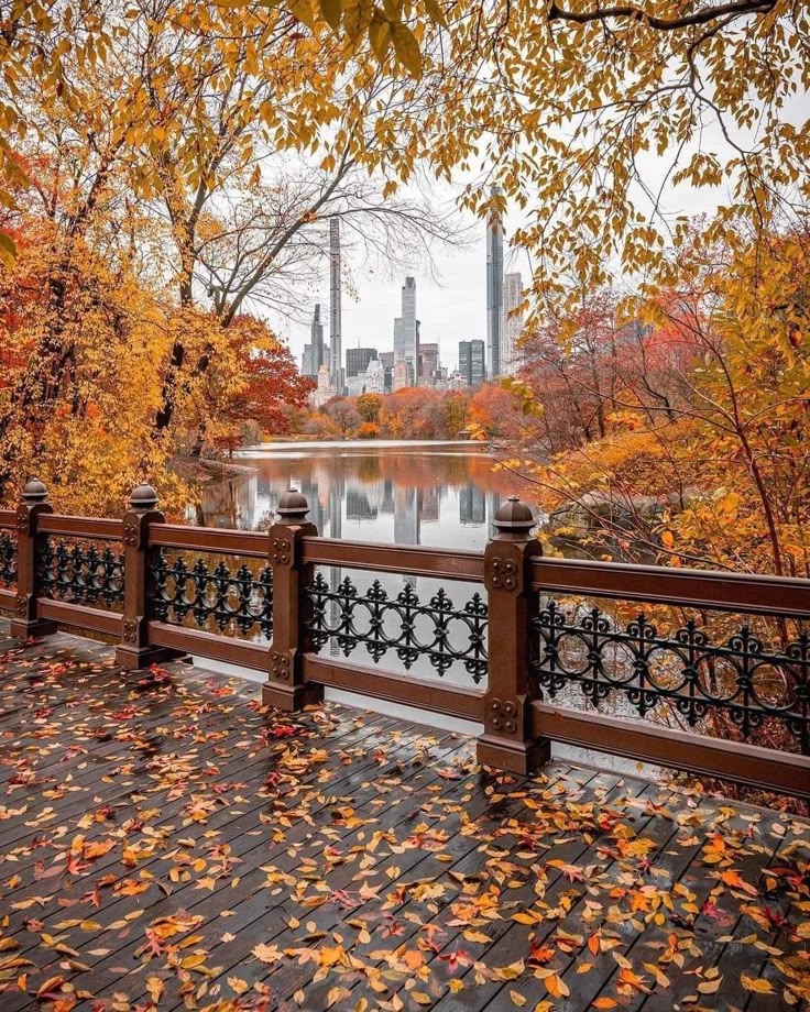 Ecrin de laine de l’automne : un automne à New York