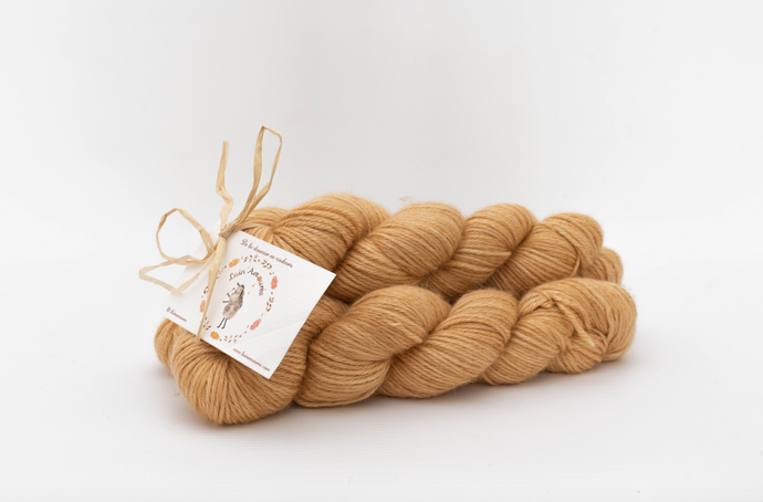 Echeveau Aphrodite DK - Dijon la Moutarde