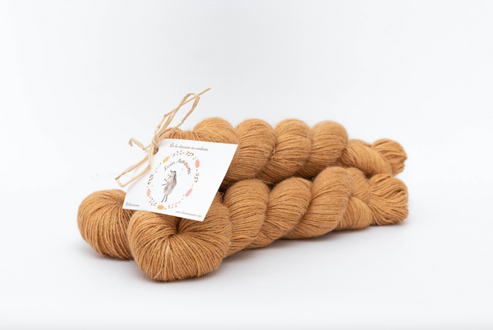 Echeveau Iris - Lingot de Safran