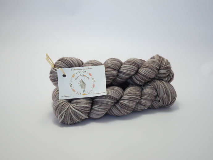 Echeveau Athéna DK - Ramasser des pommes de pin