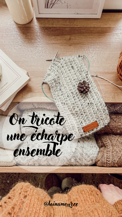 Kit débutant écharpe Léon