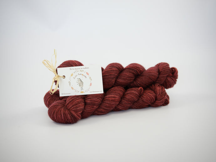 Echeveau Aphrodite DK - Baiser de Groseilles